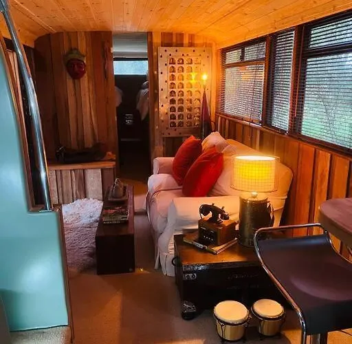 The Bus In The Woods
